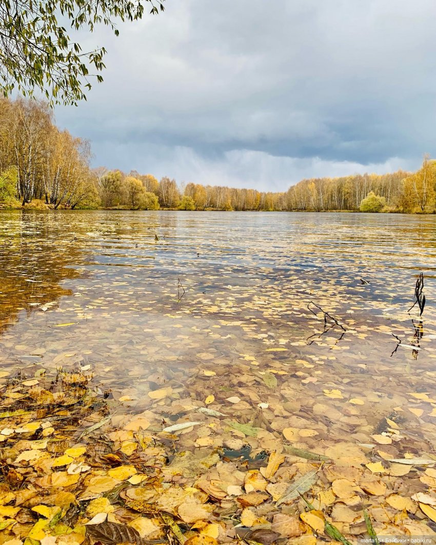 Сегодня праздник у девчат (фото 8)