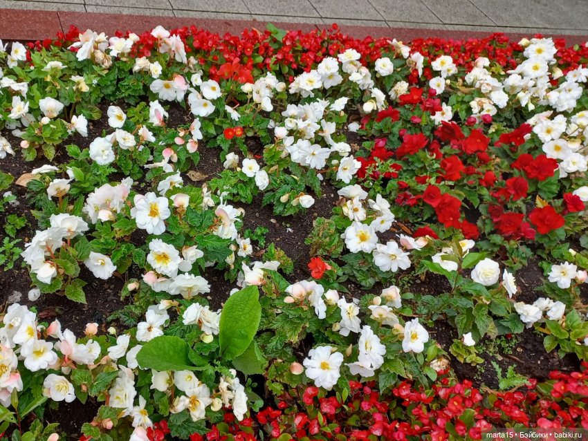 Сегодня праздник у девчат (фото 2)