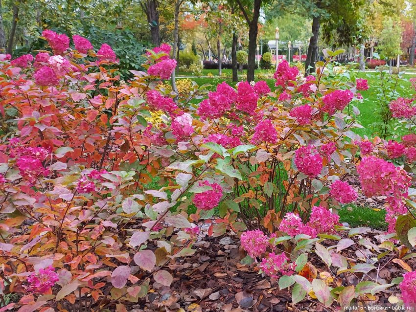 Сегодня праздник у девчат (фото 5)