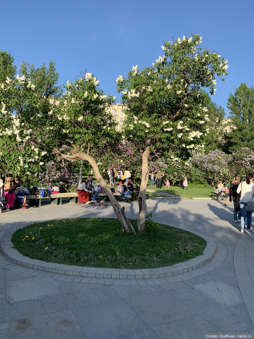 Сиреневый туман - 2019 — Куклы Kidz'n'Cats (Соня Хартман): шарнирные 46 см