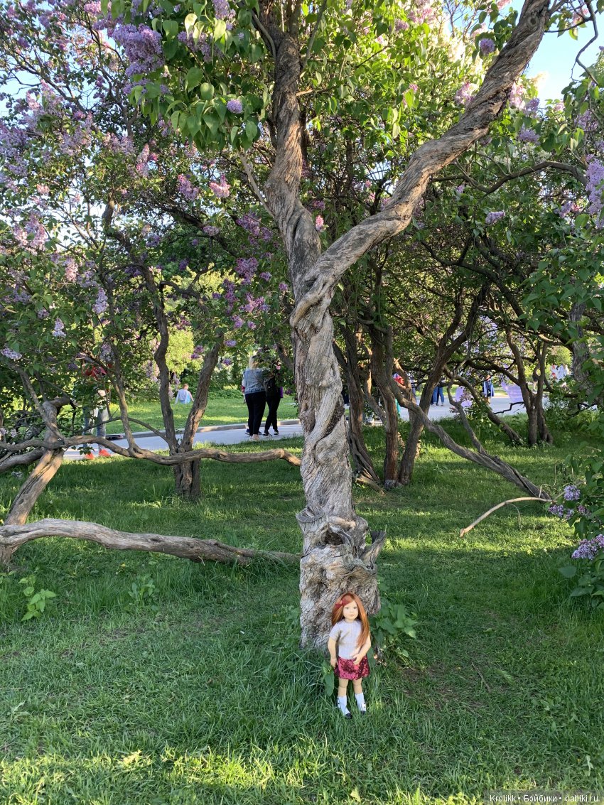 Сиреневый туман - 2019 — Куклы Kidz'n'Cats (Соня Хартман): шарнирные 46 см (фото 6)