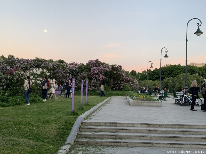 Сиреневый туман - 2019 — Куклы Kidz'n'Cats (Соня Хартман): шарнирные 46 см (фото 2)