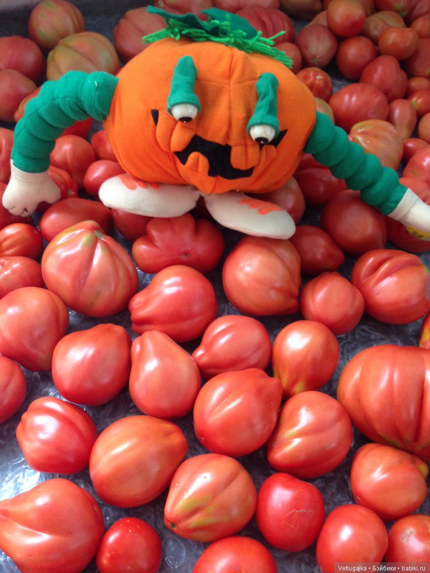 Пузата хата.