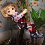 Школа лесных фей. Часть 7