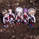 Портал частей «Школы лесных фей»