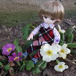 Школа лесных фей.  Часть 13