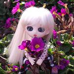 Школа лесных фей. Часть 16