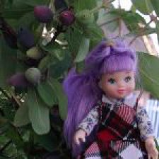 Школа лесных фей. Часть 23