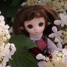 Школа лесных фей. Часть 25