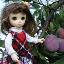 Школа лесных фей. Практика в саду: вишня, слива, смородина