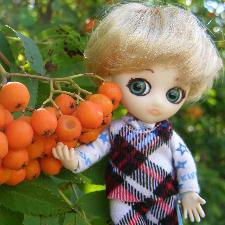 Школа лесных фей. Практика в саду: груши, жимолость, рябина