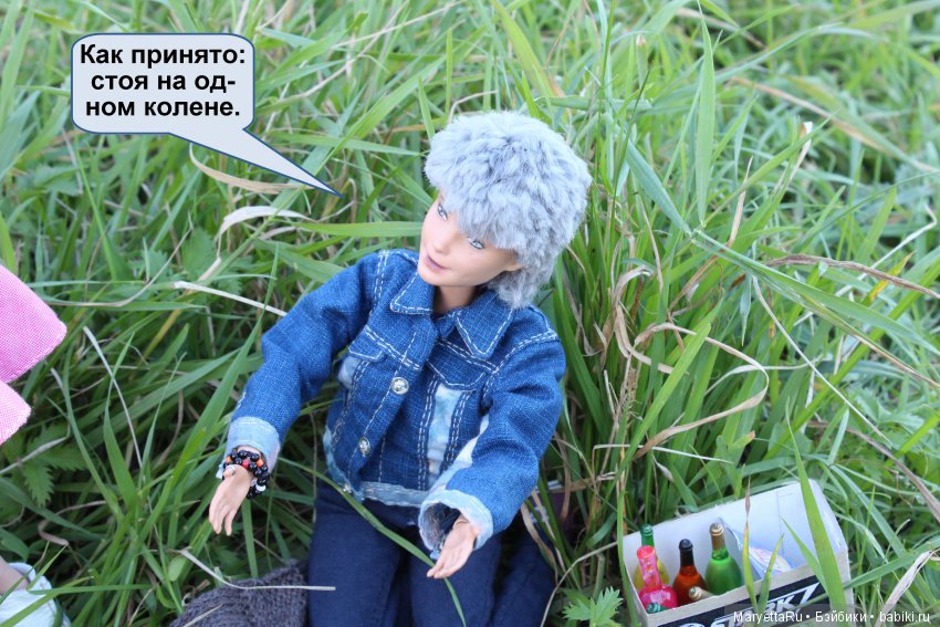 Все на пикник! Часть 4 — Кукольные фотоистории и сериалы: комиксы