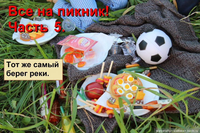 Все на пикник! Часть 5 — Кукольные фотоистории и сериалы: комиксы