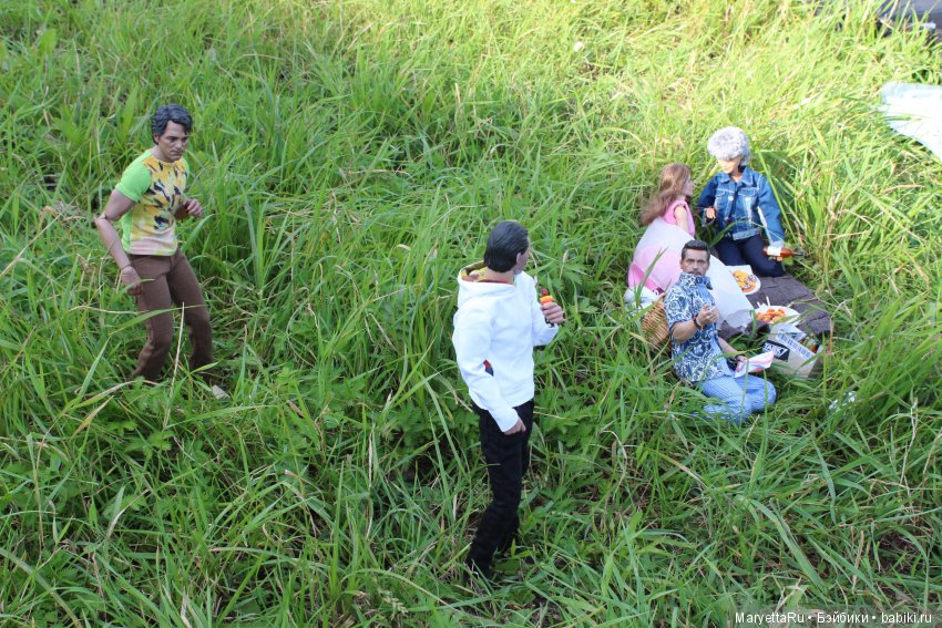 Все на пикник! Часть 4 — Кукольные фотоистории и сериалы: комиксы (фото 8)