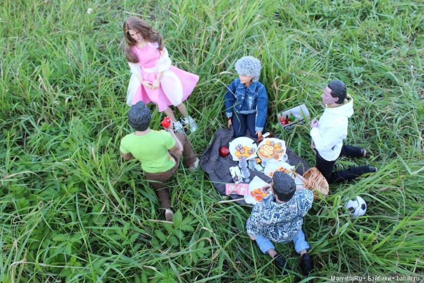 Все на пикник! Часть 4 — Кукольные фотоистории и сериалы: комиксы