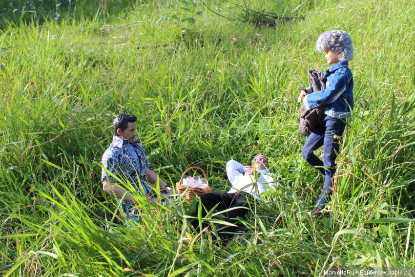 Все на пикник! Часть 4 — Кукольные фотоистории и сериалы: комиксы (фото 2)