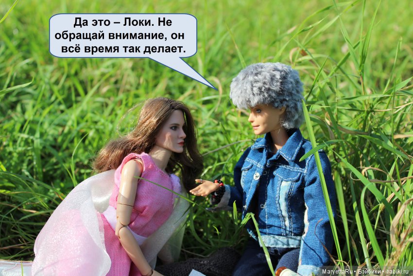 Все на пикник! Часть 4 — Кукольные фотоистории и сериалы: комиксы (фото 5)