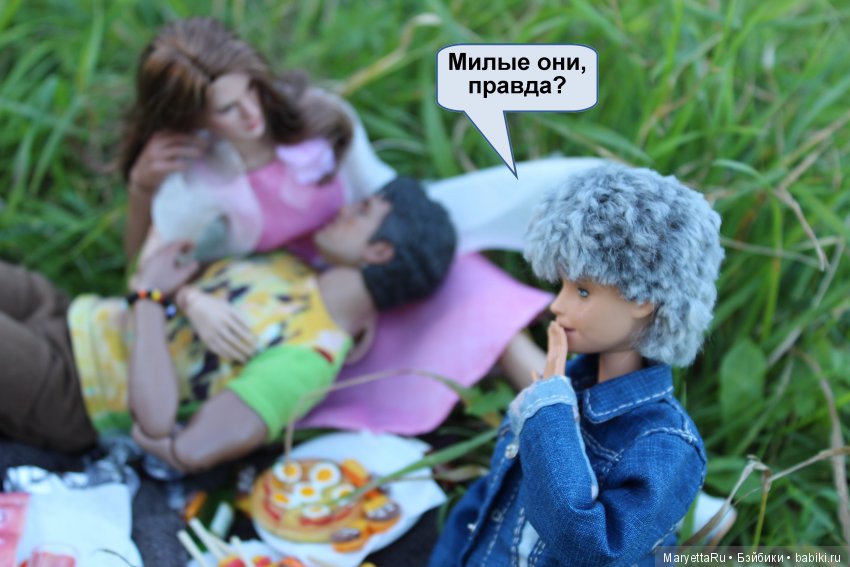 Все на пикник! Часть 5 — Кукольные фотоистории и сериалы: комиксы