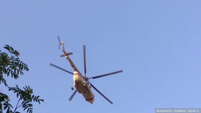 Все на пикник! Часть 4 — Кукольные фотоистории и сериалы: комиксы (фото 6)