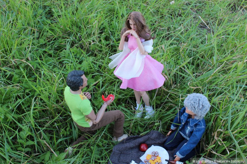 Все на пикник! Часть 5 — Кукольные фотоистории и сериалы: комиксы (фото 2)