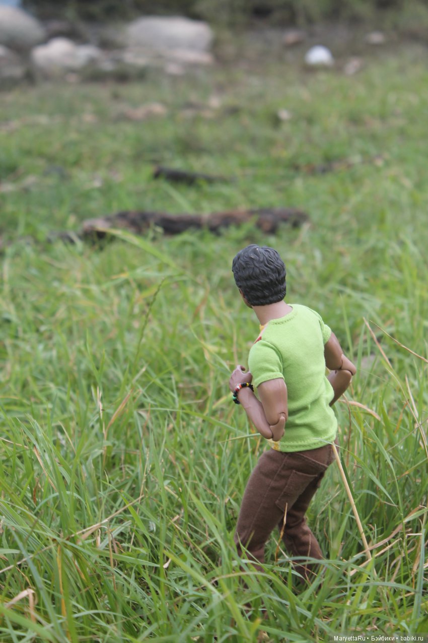 Все на пикник! Часть 4 — Кукольные фотоистории и сериалы: комиксы (фото 7)