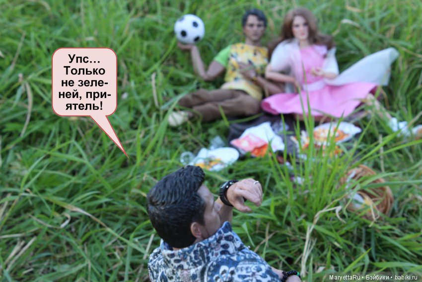 Все на пикник! Часть 5 — Кукольные фотоистории и сериалы: комиксы