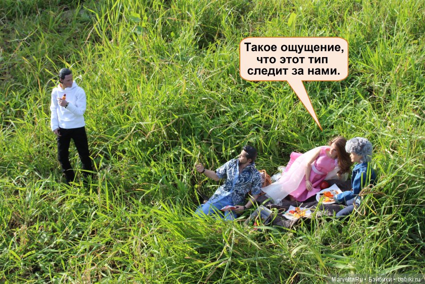 Все на пикник! Часть 4 — Кукольные фотоистории и сериалы: комиксы (фото 4)