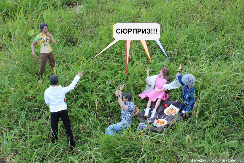 Все на пикник! Часть 4 — Кукольные фотоистории и сериалы: комиксы (фото 9)