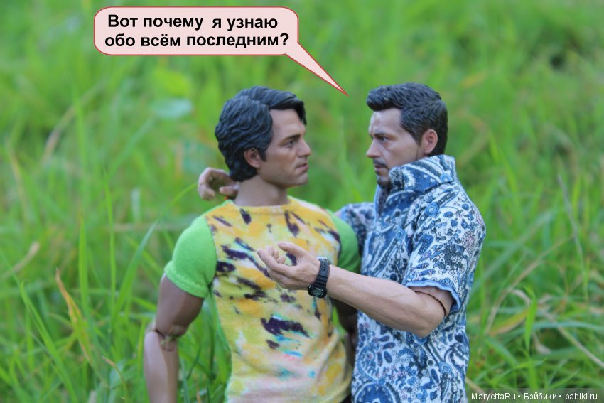 Все на пикник! Часть 4 — Кукольные фотоистории и сериалы: комиксы (фото 10)