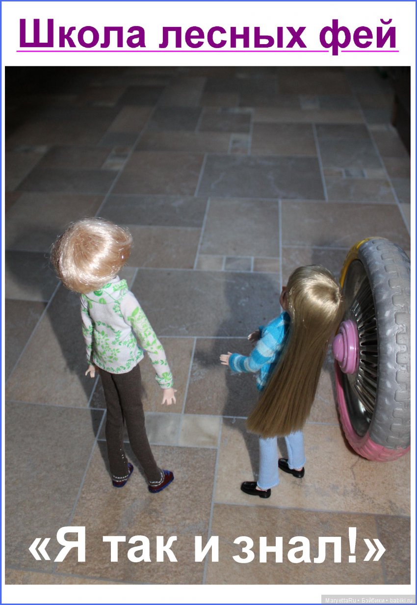 Школа лесных фей. Я так и знал