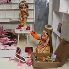 Школа лесных фей. «Наша» комната