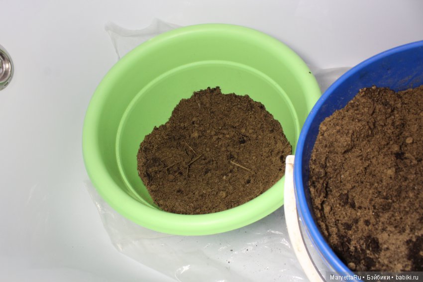 Меняем землю мандариновому дереву цитрофортунелле