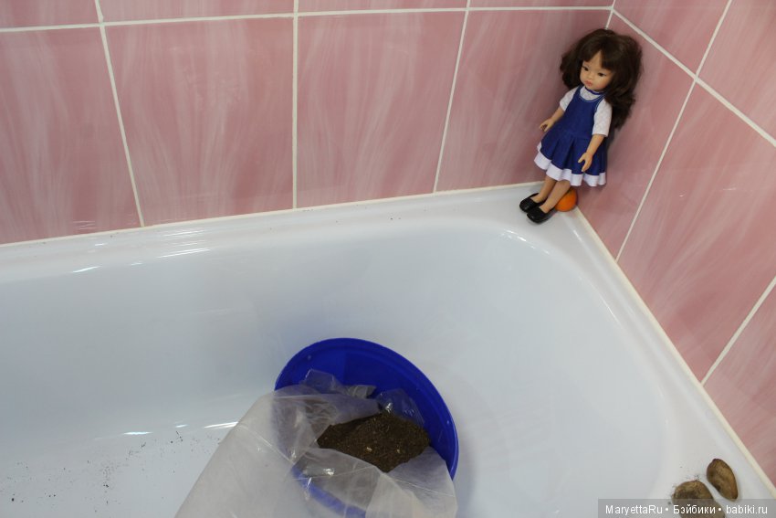 Меняем землю мандариновому дереву цитрофортунелле