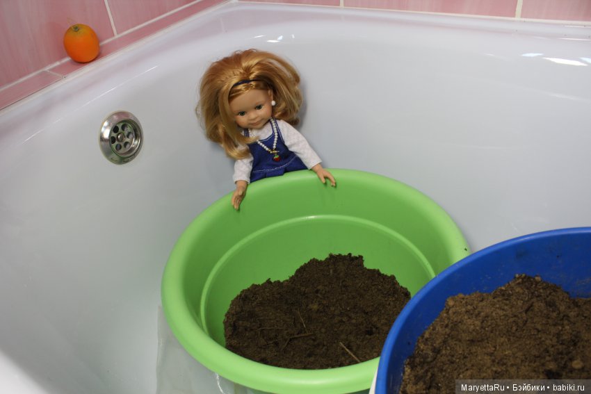 Меняем землю мандариновому дереву цитрофортунелле