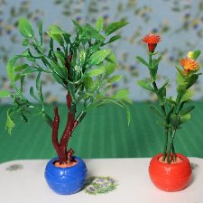 Не выбрасывайте фифу