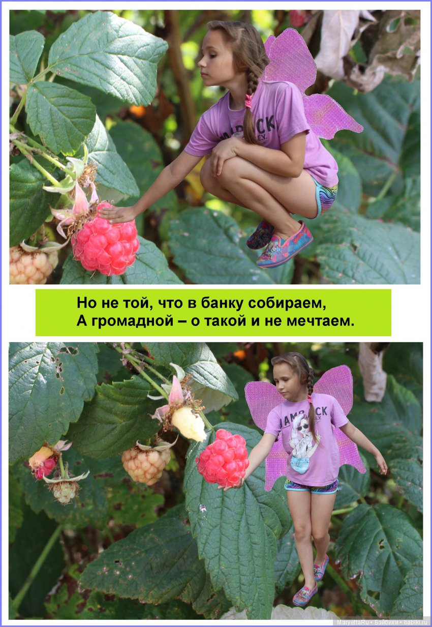 Школа лесных фей. Девочка Женя – девочка-фея