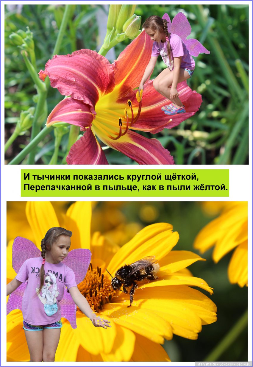 Школа лесных фей. Девочка Женя – девочка-фея (фото 8)