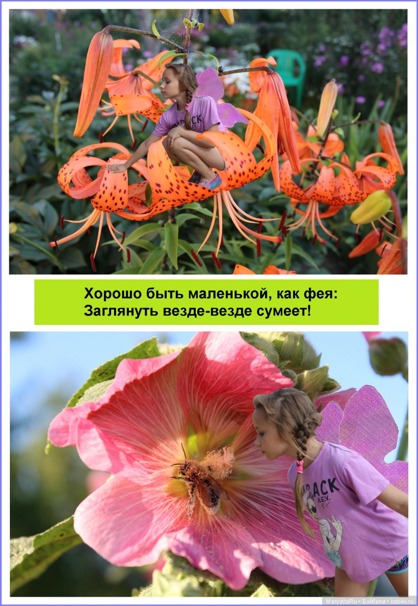 Школа лесных фей. Девочка Женя – девочка-фея