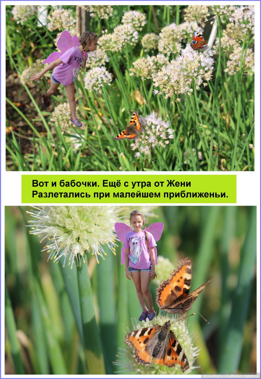 Школа лесных фей. Девочка Женя – девочка-фея