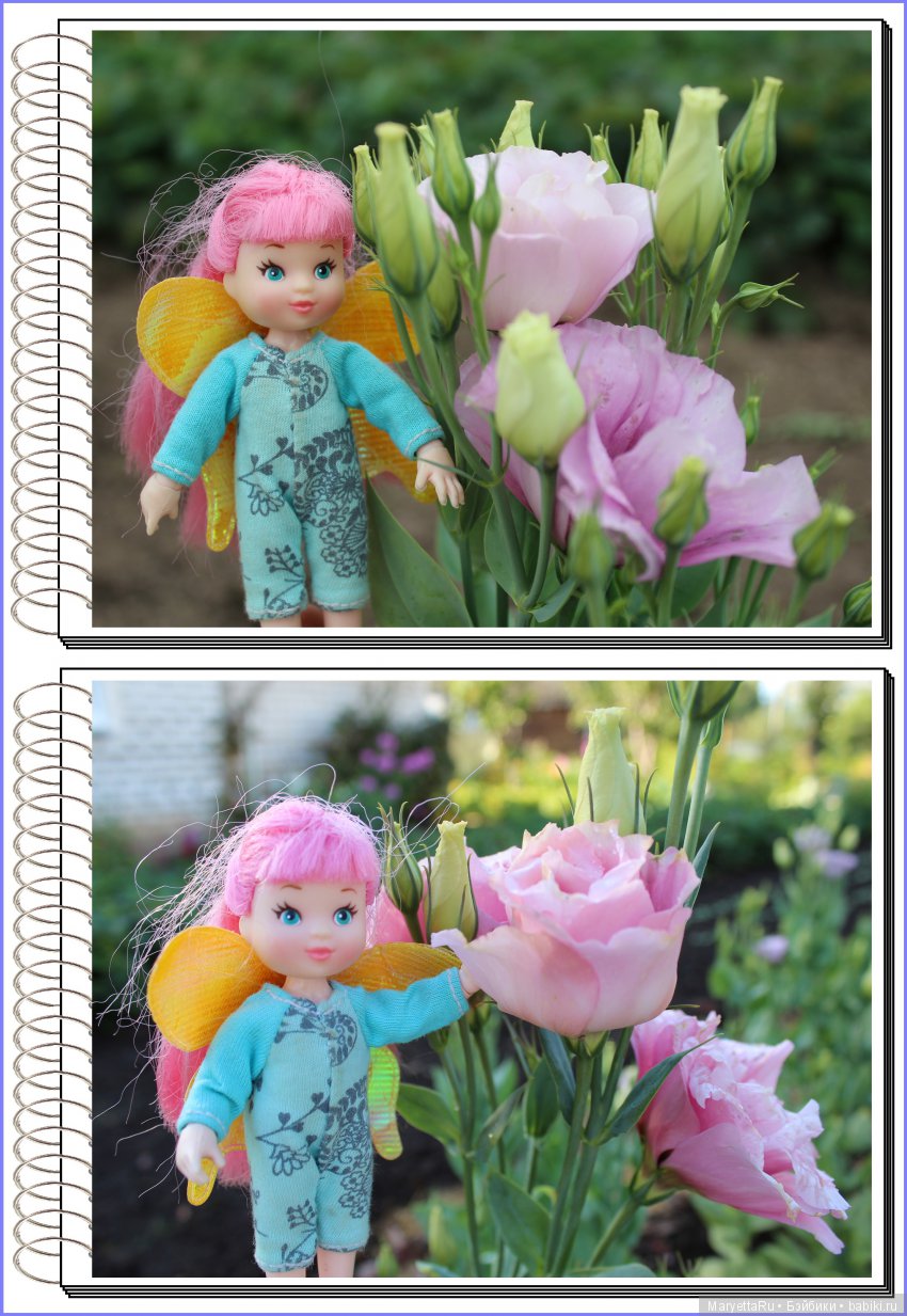 Школа лесных фей. Эустома. Всякая разная