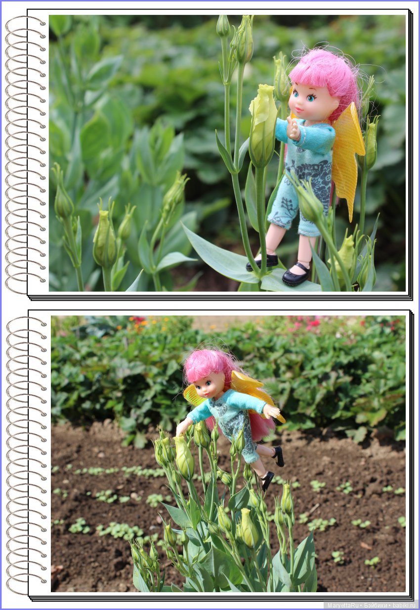 Школа лесных фей. Эустома. Всякая разная (фото 5)