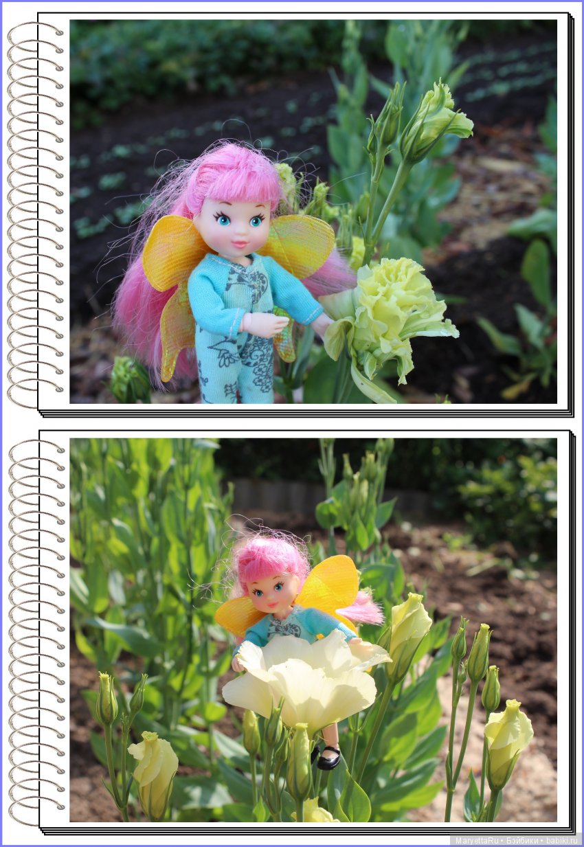 Школа лесных фей. Эустома. Всякая разная (фото 8)