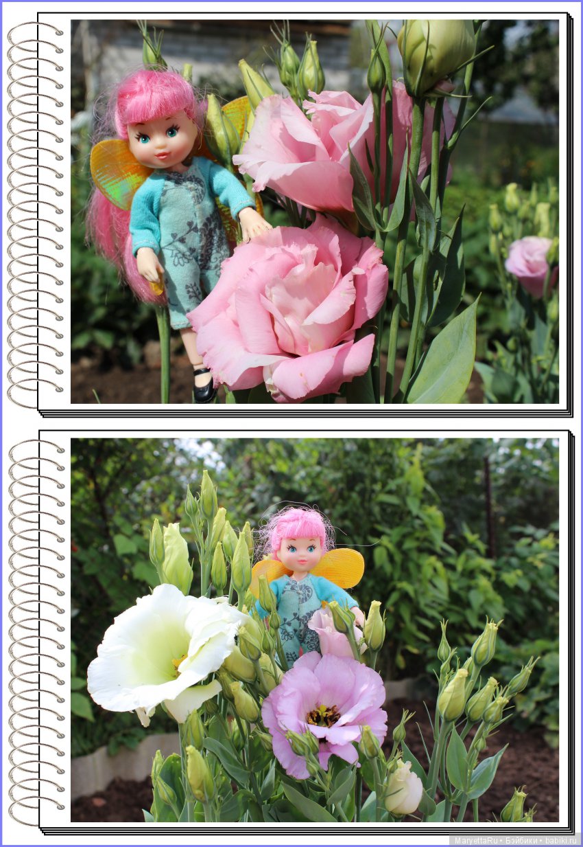 Школа лесных фей. Эустома. Всякая разная