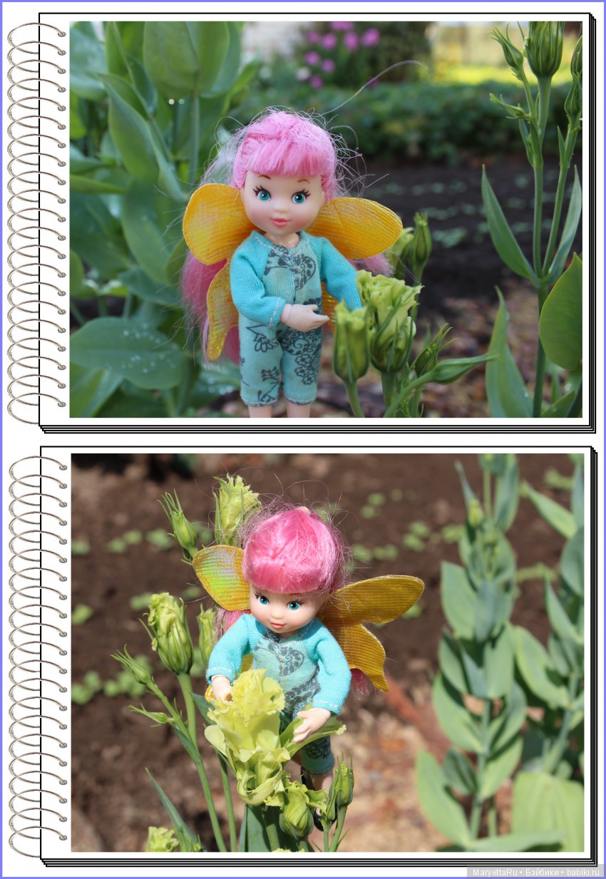 Школа лесных фей. Эустома. Всякая разная (фото 7)