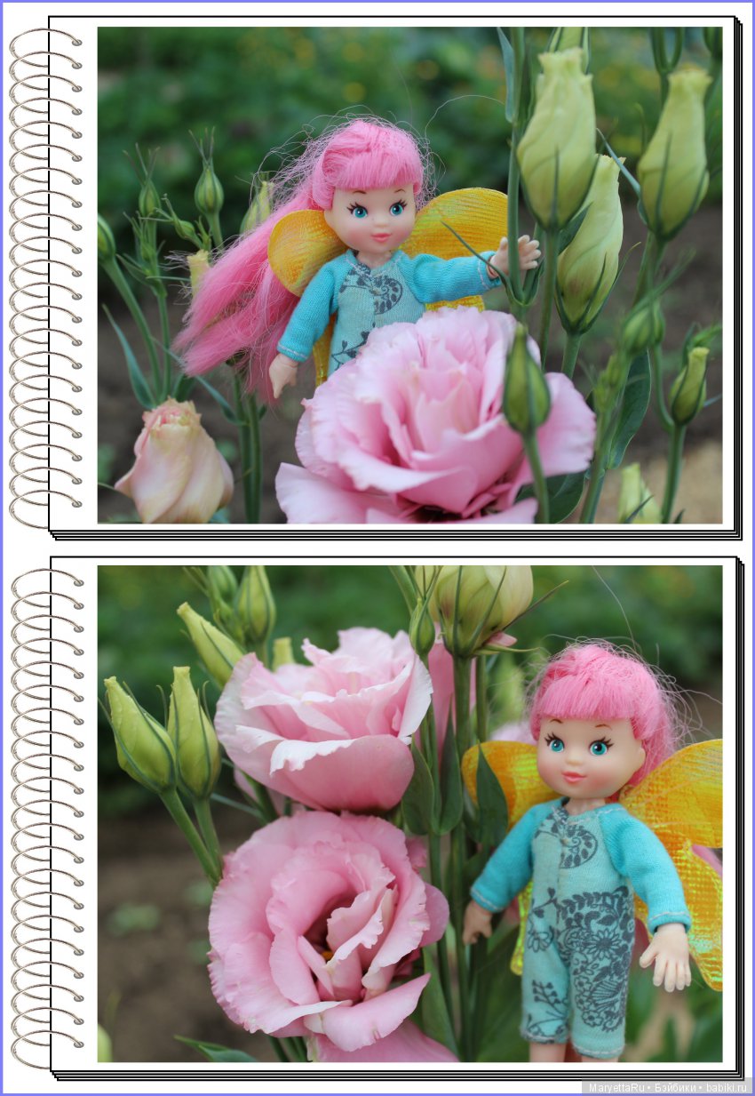 Школа лесных фей. Эустома. Всякая разная