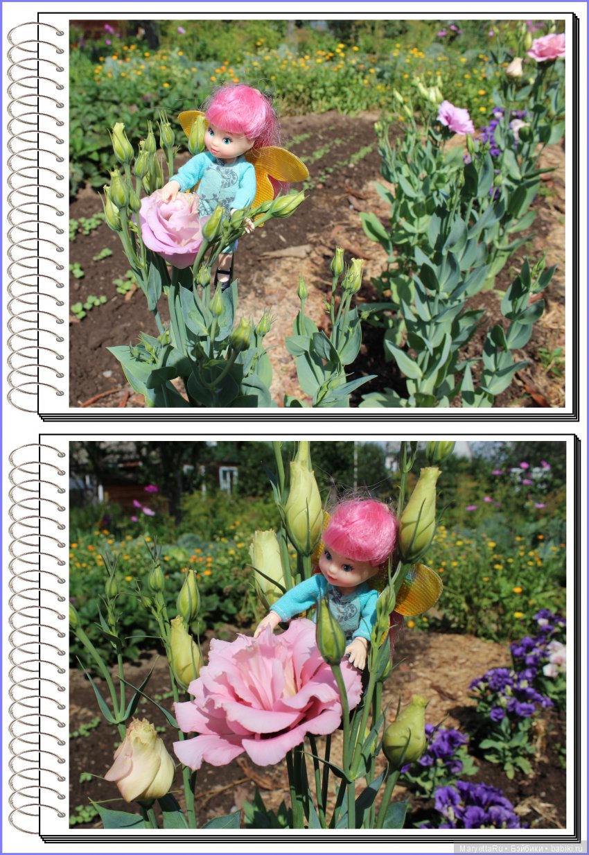 Школа лесных фей. Эустома. Всякая разная