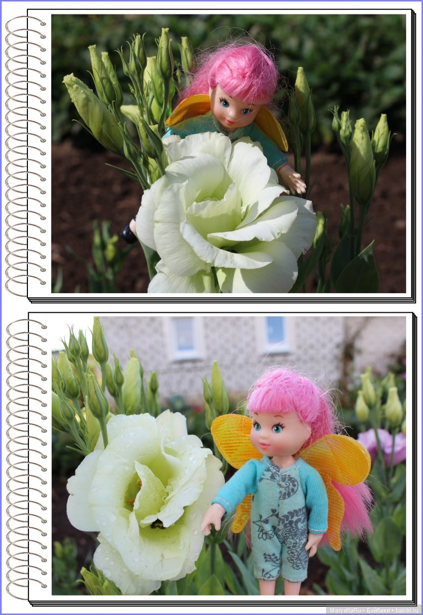 Школа лесных фей. Эустома. Всякая разная (фото 9)