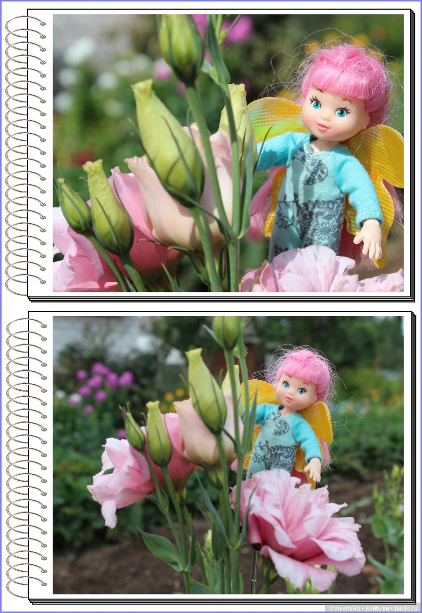 Школа лесных фей. Эустома. Всякая разная