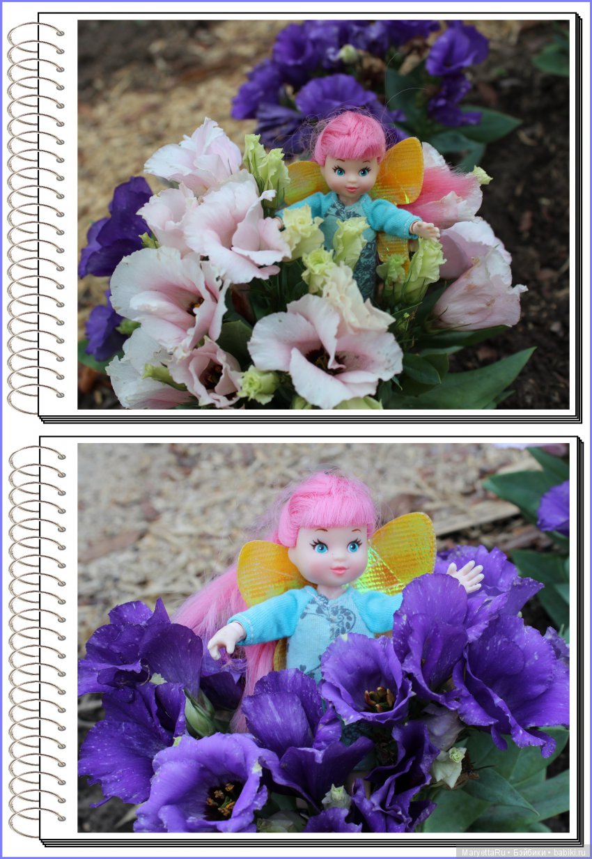 Школа лесных фей. Эустома. Всякая разная (фото 3)