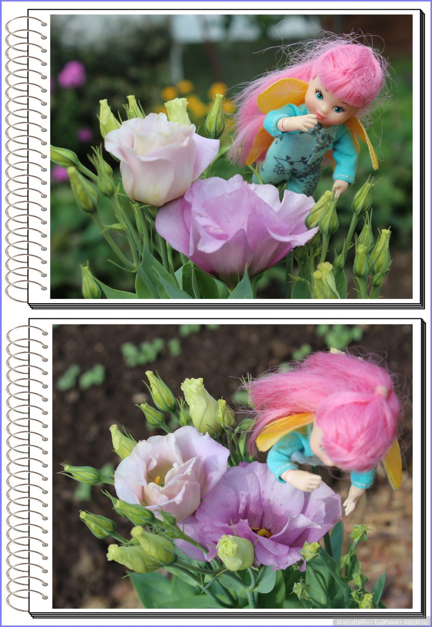 Школа лесных фей. Эустома. Всякая разная